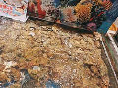 -亚马逊海鲜自助(梅溪湖步步高店)