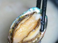 鲍鱼-杏坛公平靓正(伦教滨江店)