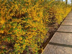 -天津东丽湖风景区