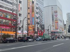 -秋叶原电器街