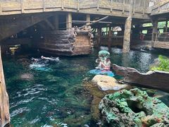 -长鹿旅游休博园