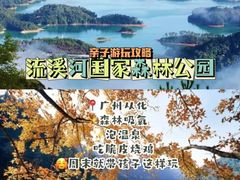 -广州市流溪河国家森林公园