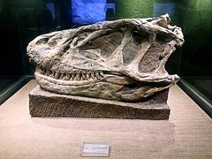 -自贡恐龙博物馆