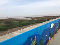 -南汇嘴观海公园