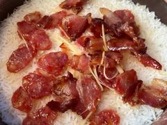 -鸽小宝(深圳首店)