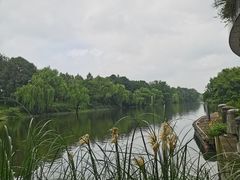 -中国湿地博物馆