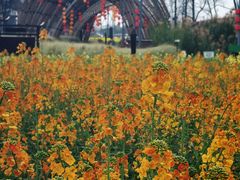 -中国天府农业博览园