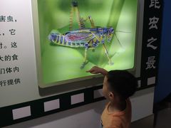 -上海昆虫博物馆