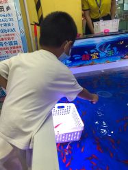 -万达宝贝王(海口秀英店)