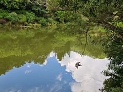 -深圳仙湖植物园