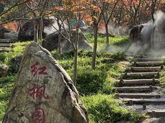 -广州市帽峰山景区
