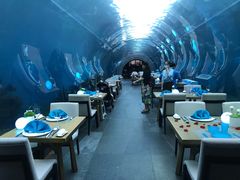 -海棠湾洲际-涛·海底餐厅·美人鱼·自助餐·海底隧道