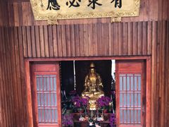 -深圳仙湖植物园