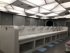 -龙格亲子游泳·水育早教运动中心(绿城店)