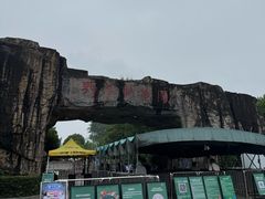 -合肥野生动物园
