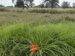 -汉长安城未央宫国家考古遗址公园