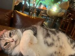 -咖法森林·咖啡  酒吧(天河店)