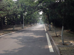 iphone_upload_pic-八大关景区