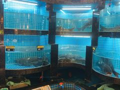 水产区-千岛湖小鱼儿·淳安匠心农家菜