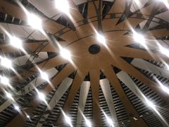 海关处天花-谢列梅捷沃国际机场