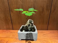 -慈云斋·24节气素食
