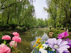 -宝鸡植物园