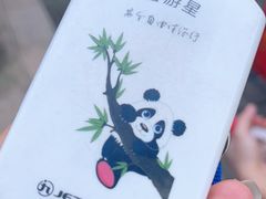-都江堰中华大熊猫苑