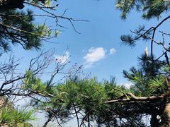 -牛背梁国家森林公园