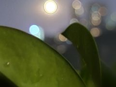 -重庆平顶山公园