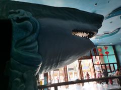 -多彩贵州城极地海洋世界