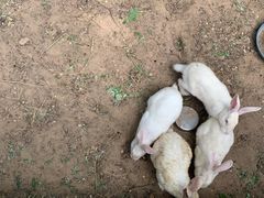 -林栖谷森林康养度假区