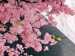 -首开·龙湖成都西宸天街