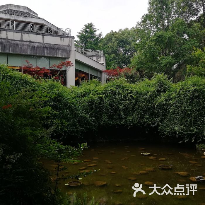 富乐山九洲国际酒店餐厅图片-北京川菜/家常菜-大众点评网