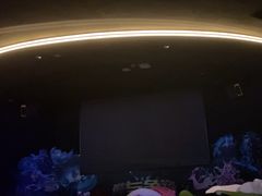 -皇室假期美食水疗会(春风路店)