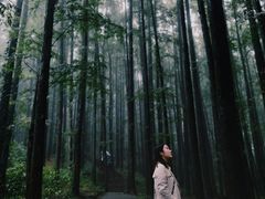 -山王坪喀斯特国家生态公园