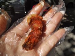 -脆皮五花肉(建东街旗舰店)