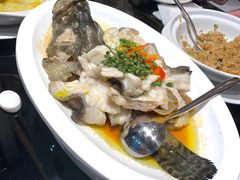 青花椒蒸龙胆鱼-闽和南(深圳万象城店)