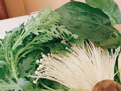 -蝎王府羊蝎子(北大地店)