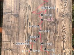 -东天目山风景区