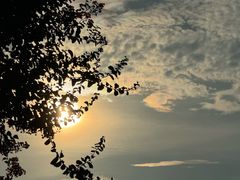 -天鹅湖体育公园