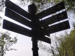 -铁山坪森林公园