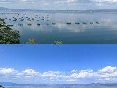 -月亮湾湿地公园