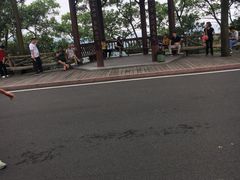 -大屏嶂森林公园