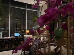 -北京希尔顿逸林酒店-逸轩西餐厅-自助餐厅