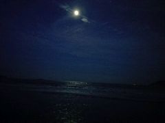 -普陀山风景名胜区-千步大沙