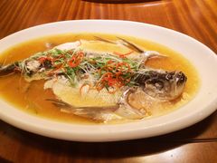 -老江南春·中国龙菜(衡山路店)