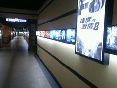 -华美国际影城(旧宫永辉店)