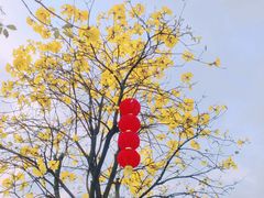 -洲头咀公园