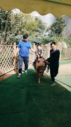 -萌宠亲子动物乐园(槐房万达店)