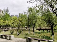 -沐仙湖湿地公园